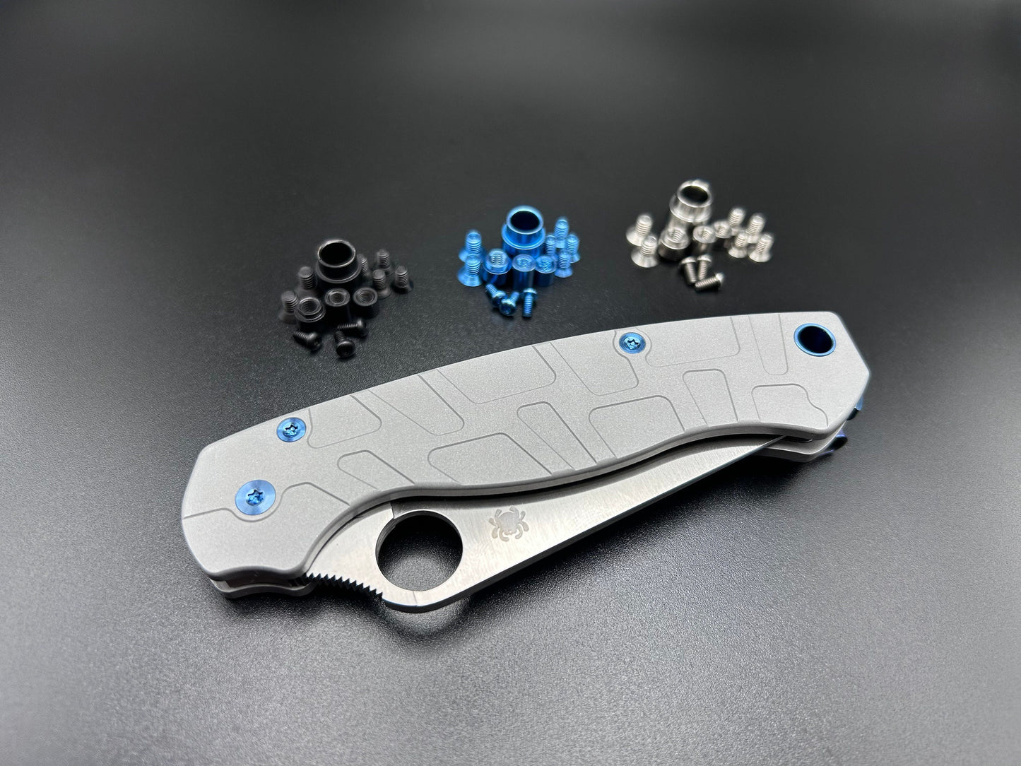 Spyderco Paramilitary 2 Titanium Screw Set